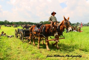 Shiloh150-4-Wagonmaster-LR-signed